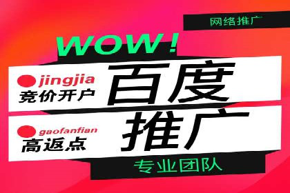 百度竞价代运营实战案例分析